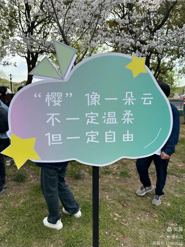 高东镇樱花节快乐一日游